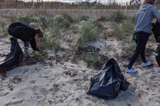 GEMs Op. Sparkle: Beach Cleanup